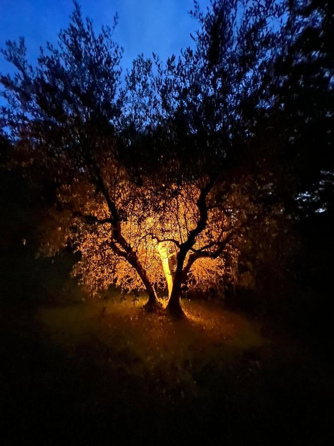 Вилла La Casa Nel Bosco Лари Экстерьер фото